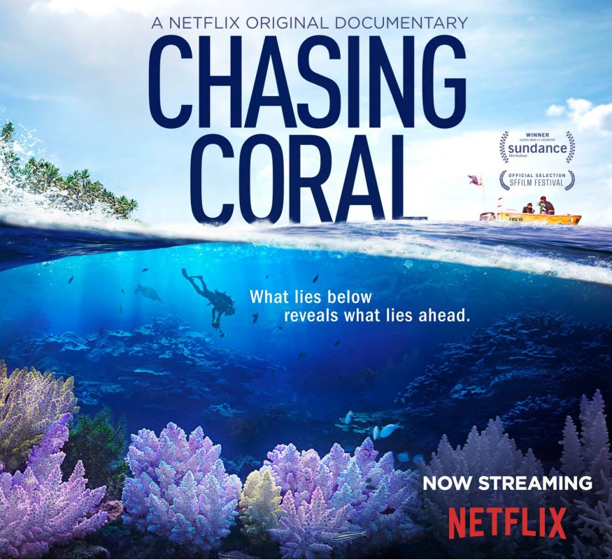 Chasing Coral - Netflix Dokumentation über das Verschwinden der natürlichen Riffe