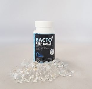 Bacto Reef Balls 250ml Riff Bakterien + Enzyme mit Depotwirkung