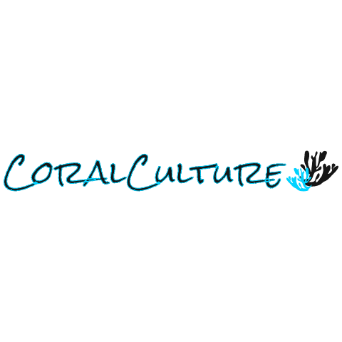 Internationaler Versand von Korallen