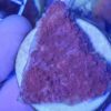 Caulastrea furcata WYSIWYG