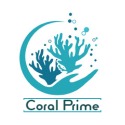 Expédition internationale de coraux