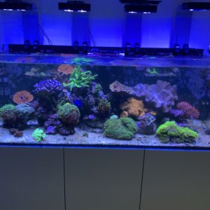 totale de l'aquarium