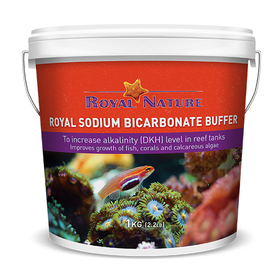 Royal Sodium Bicarbonate Buffer 4 kg.
