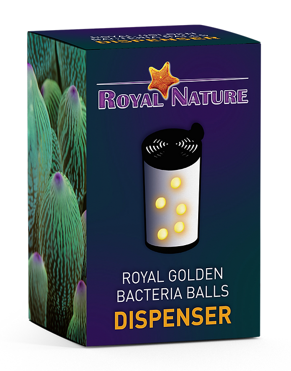 Royal Golden Bacto Balls 1000 ml