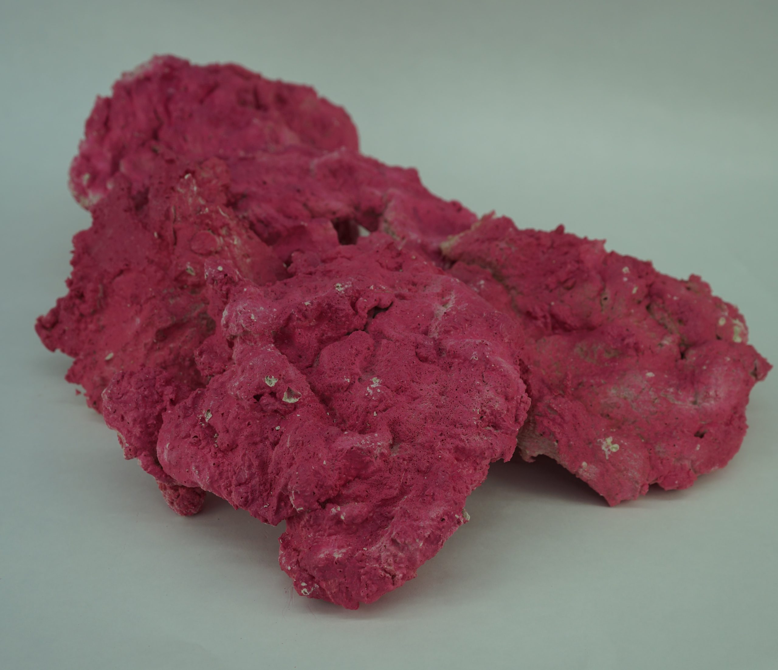 Royal cultured rock Colored red Per 1kg