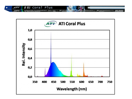 ATI Coral Plus 24 watts