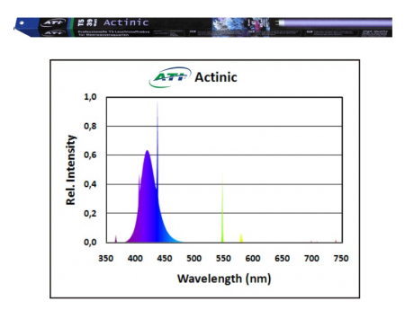 ATI Actinic 54 watts