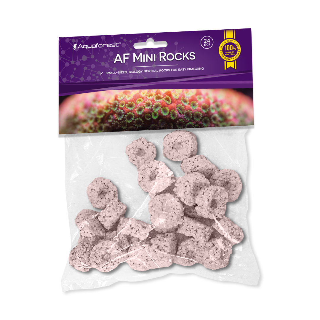 AF Frag Rocks PURPLE 24 Stk.